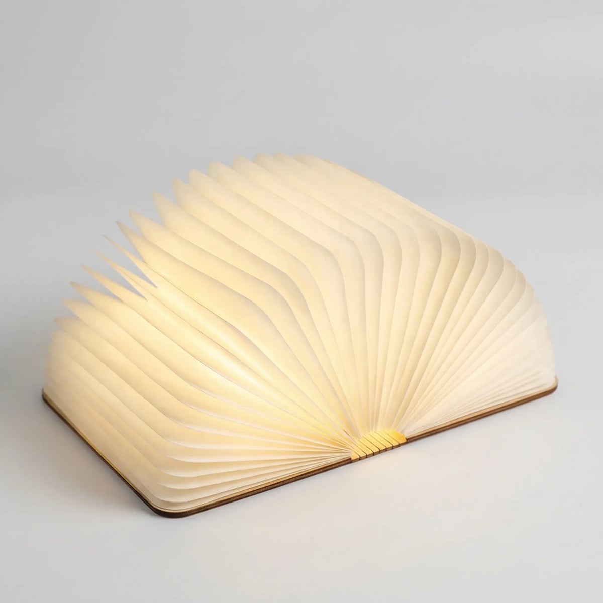 Opvouwbare LED-Boeklamp Met Instelbare Helderheid