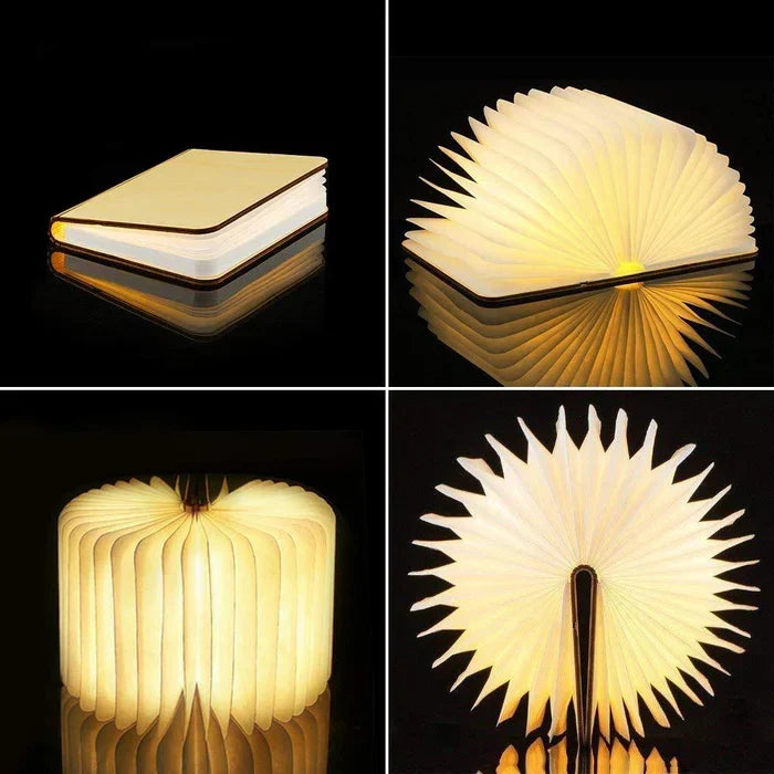 Opvouwbare LED-Boeklamp Met Instelbare Helderheid
