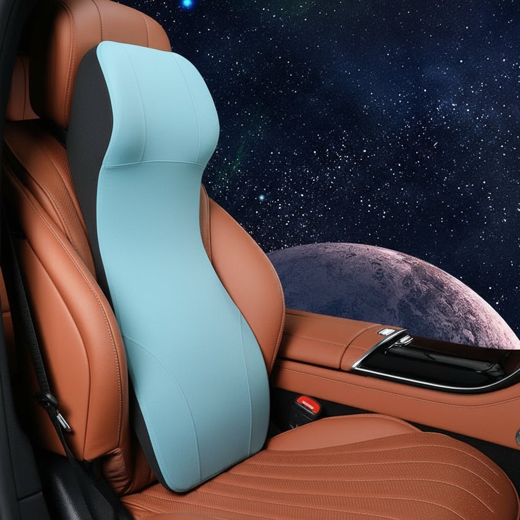 ERGOCARVE ergonomische auto nek- en lendensteun