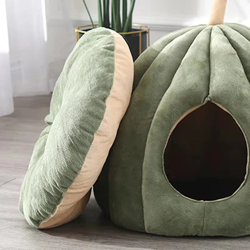 Knus Gesloten Kattenbed