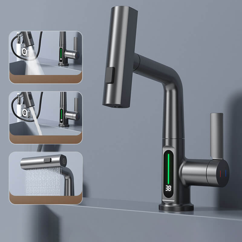 AquaPrestige multifunctionele mengkraan