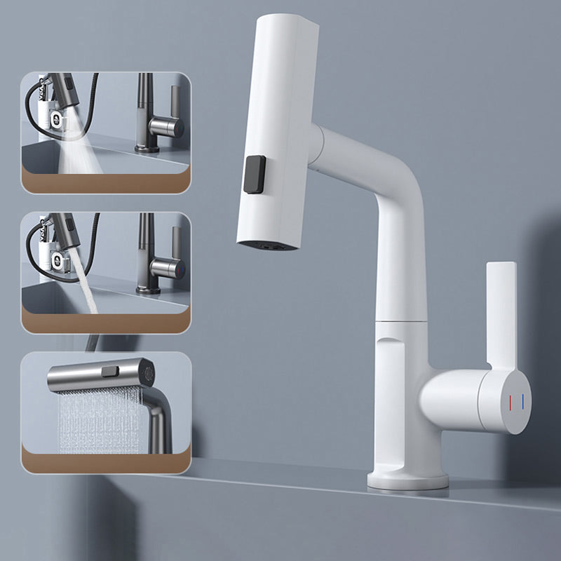AquaPrestige multifunctionele mengkraan