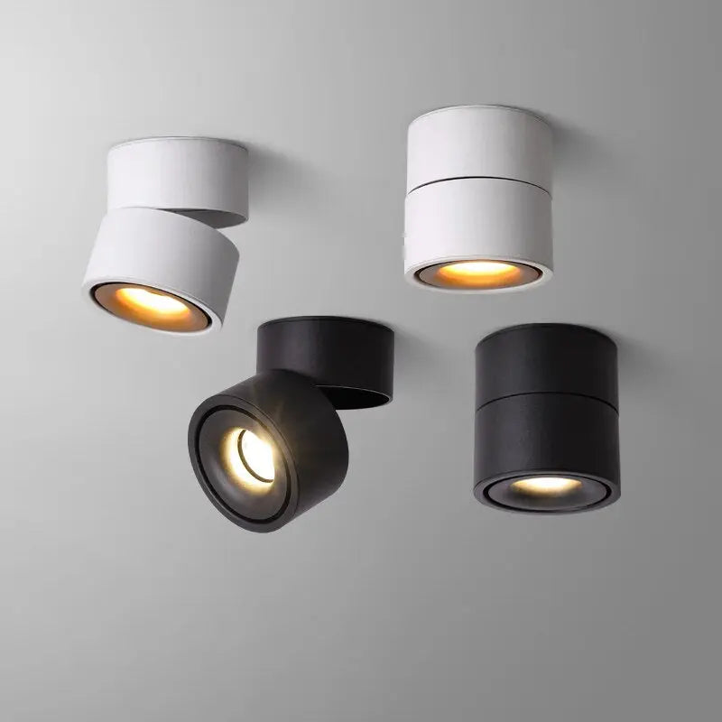 Draaibare LED Plafondspot