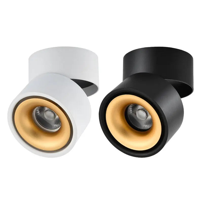 Draaibare LED Plafondspot