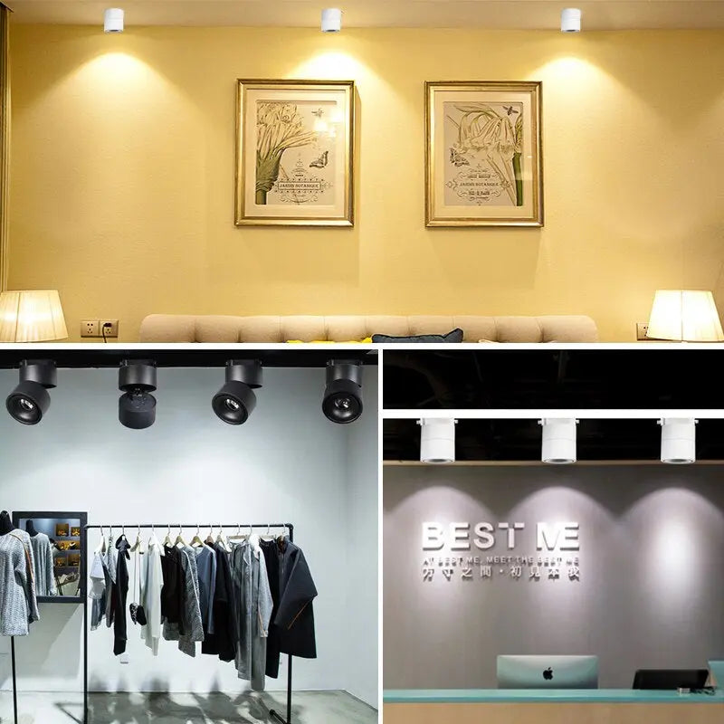 Draaibare LED Plafondspot