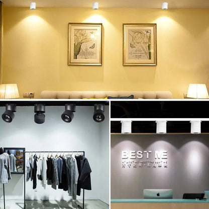 Draaibare LED Plafondspot
