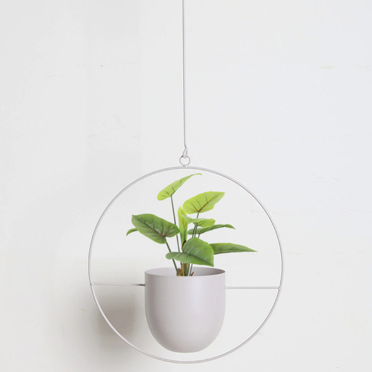 Lumio minimalistische hangende plantenhouder