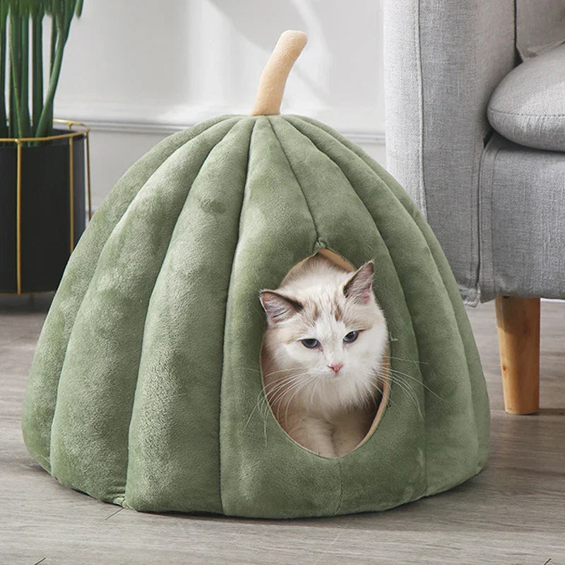 Knus Gesloten Kattenbed