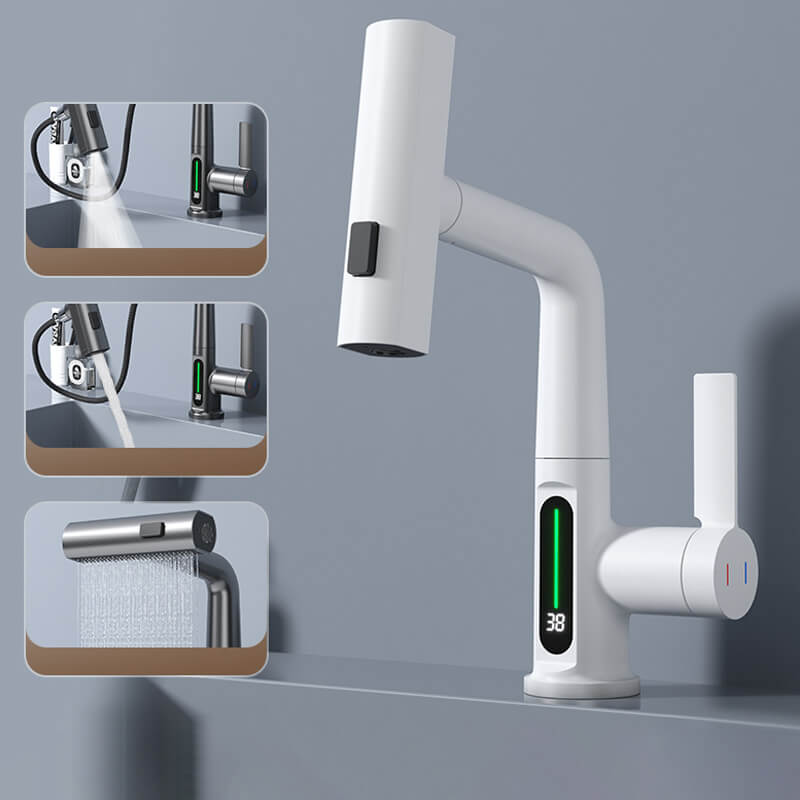 AquaPrestige multifunctionele mengkraan