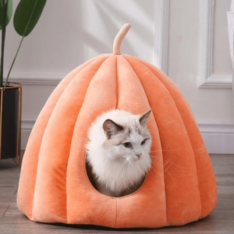 Knus Gesloten Kattenbed