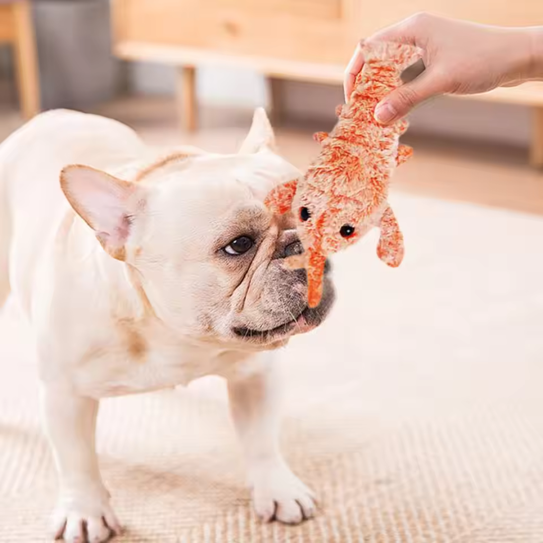 PetMotion interactief speelgoed