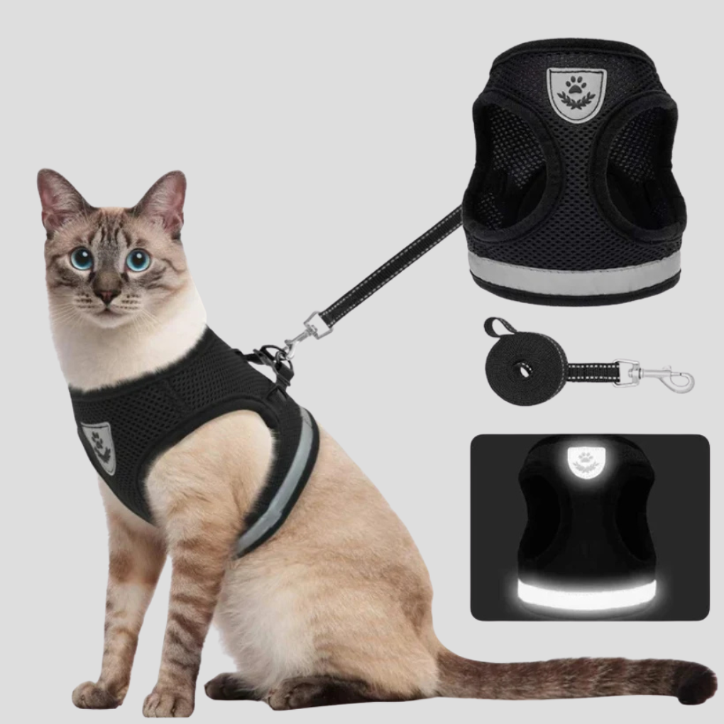 Kattenharnas met riem