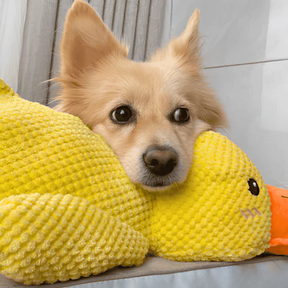 CalmQuack kalmerend hondenspeelgoed