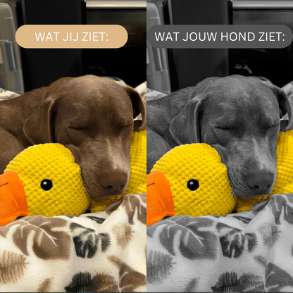 CalmQuack kalmerend hondenspeelgoed