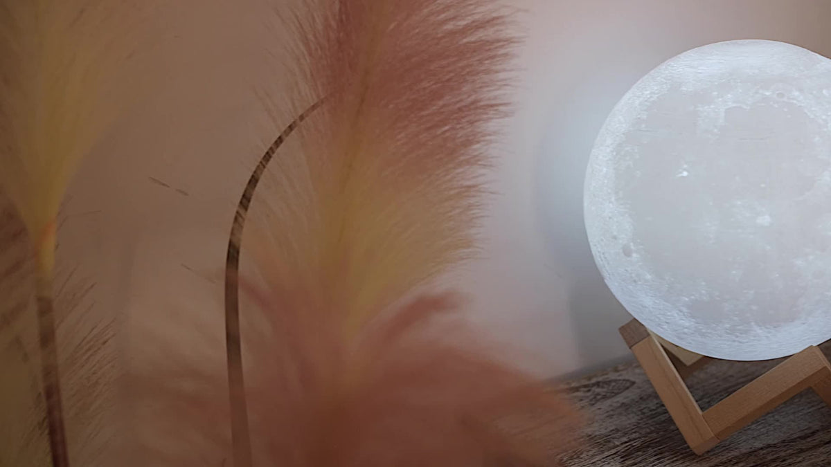 Houten maanlamp met kleurenlicht en timerfunctie