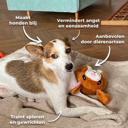 PupPlay interactief hondenspeeltje