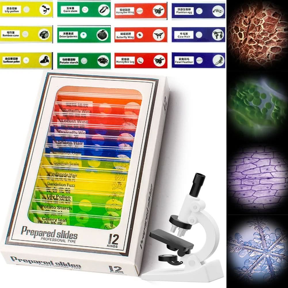 ExplorerLens draagbare kindermicroscoop