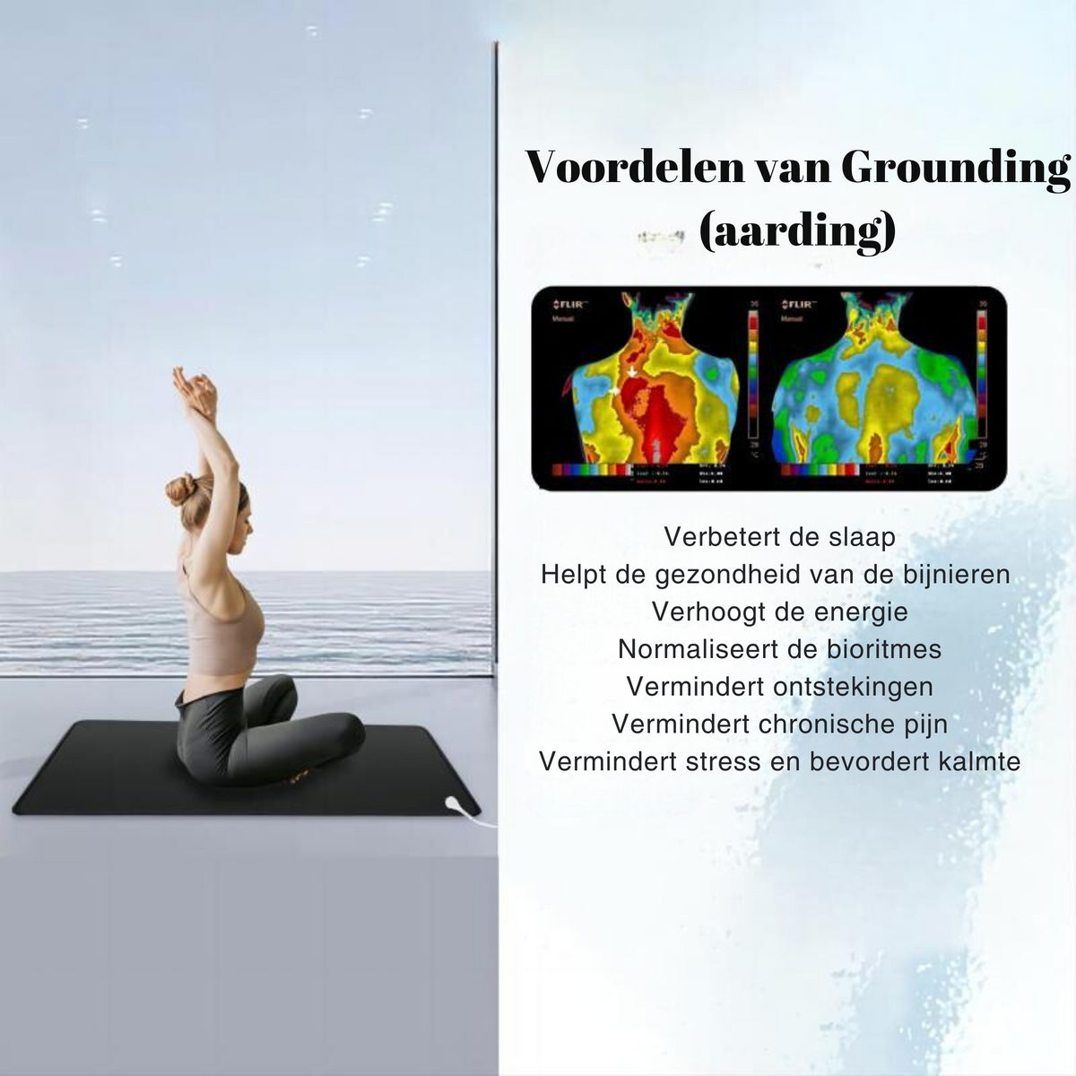 EarthConnect carbonlederen aardingsmat